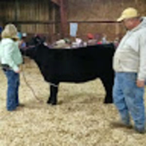 Meet your Posher, Rhonda